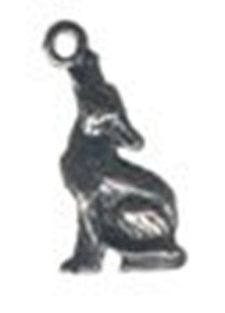 Picture of 1006   Coyote Charm 