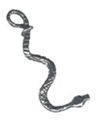 Picture of 1009   Snake Charm 