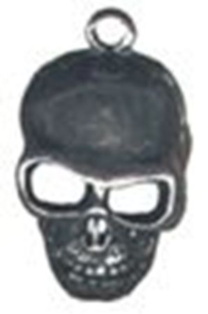 Picture of 4026   Skull Pendant 