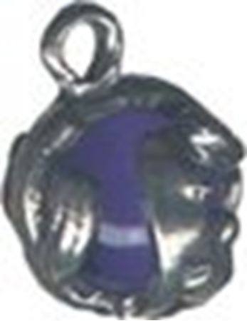 Picture of 6086   Coyote with Cactus Pendant 