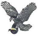 Picture of 7052   Eagle Pendant 