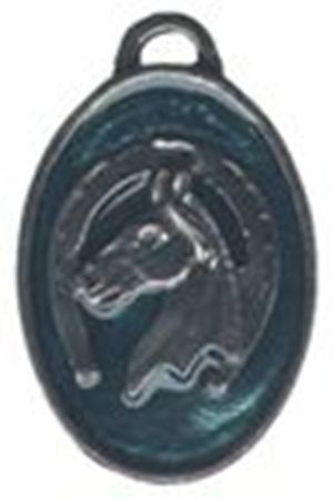 Picture of 7061   Horseshoe Pendant 