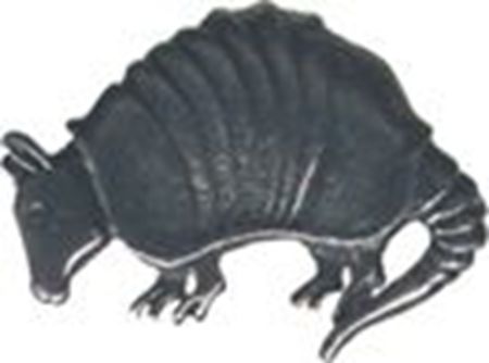 Picture of A1075   Armadillo Flat 