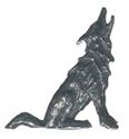 Picture of C3113   Wolf Flat 