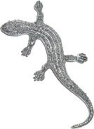 Picture of C3136   Lizard Flat 