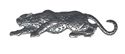 Picture of D4105   Leopard Flat 